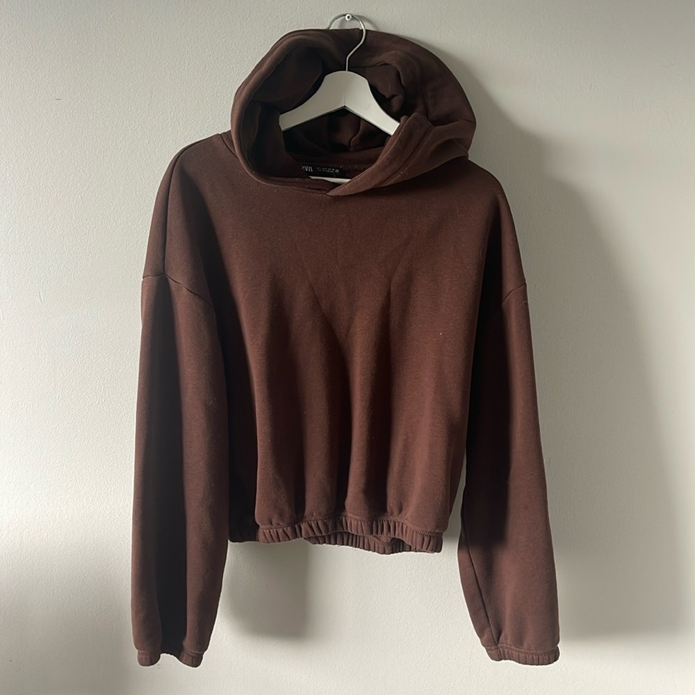 Zara brown sweater